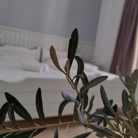 스칼라 Elia B&B 외부 사진