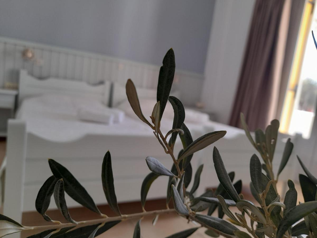 스칼라 Elia B&B 외부 사진
