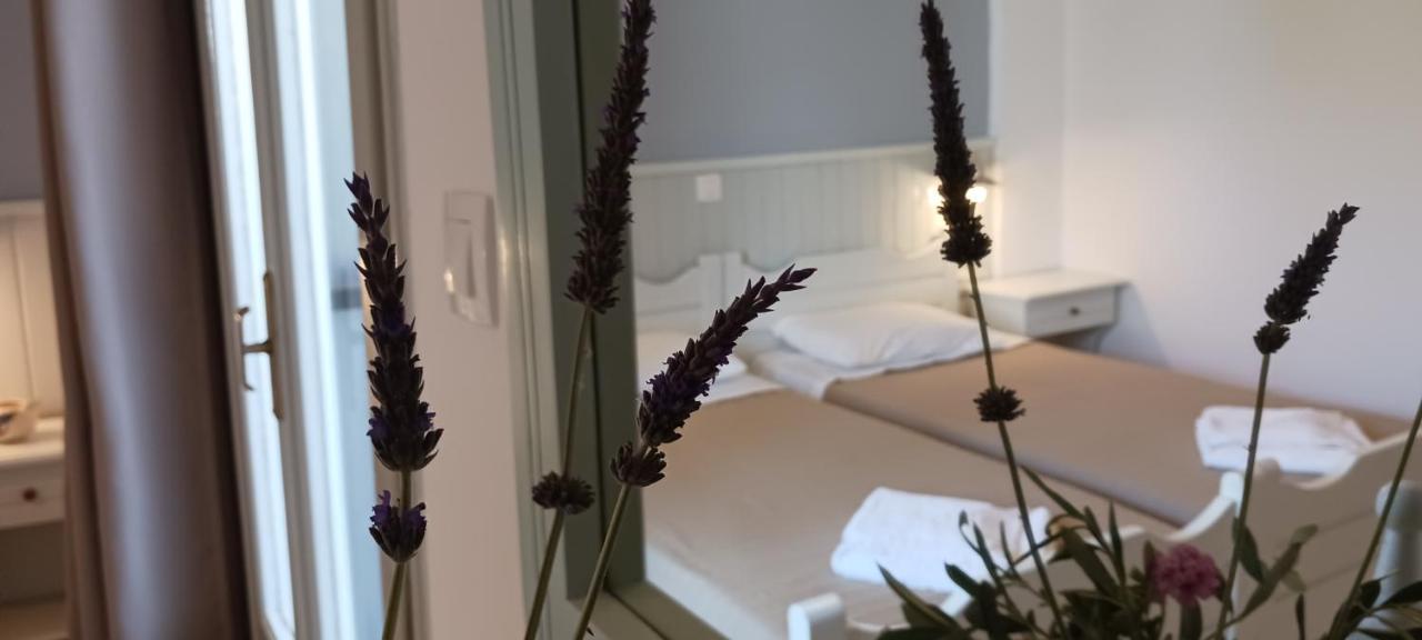 스칼라 Elia B&B 외부 사진